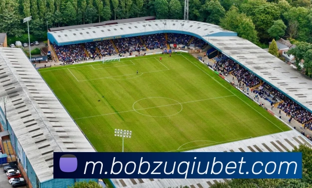 App Interface Preview