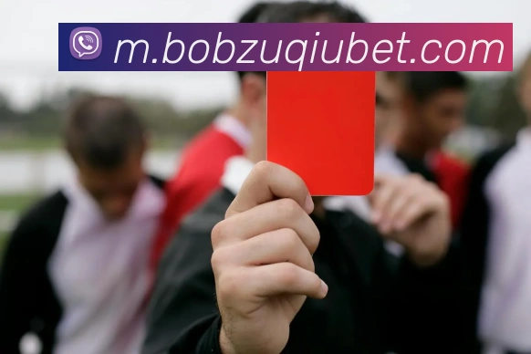 BOB体育APP 封面图